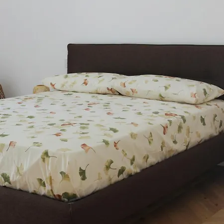 Bellapulia Мольфетта